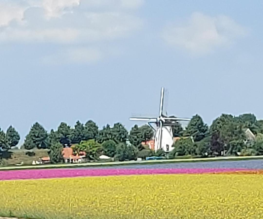 De Nieuwe Stal Apartman Scherpenisse Kültér fotó